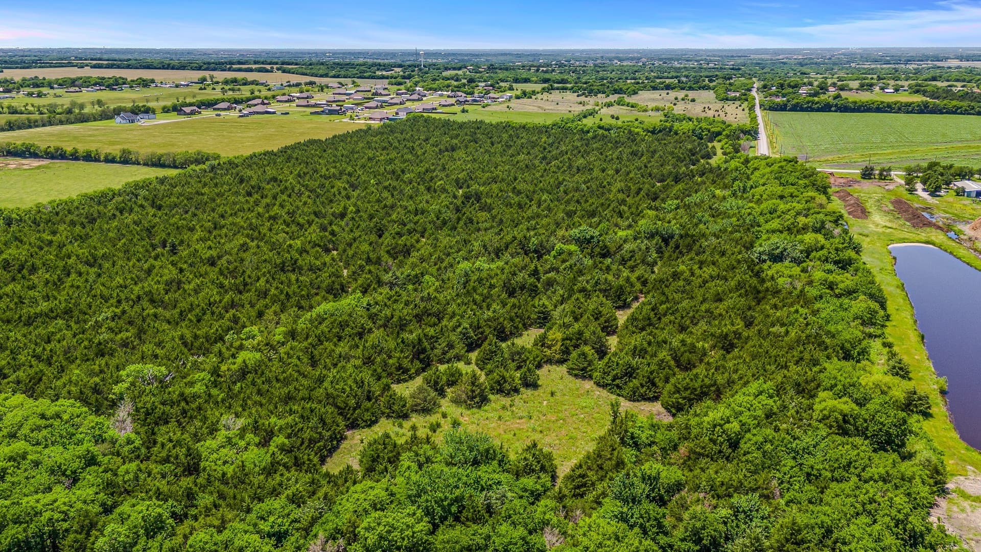39.99 acres in Collin County - photo 6