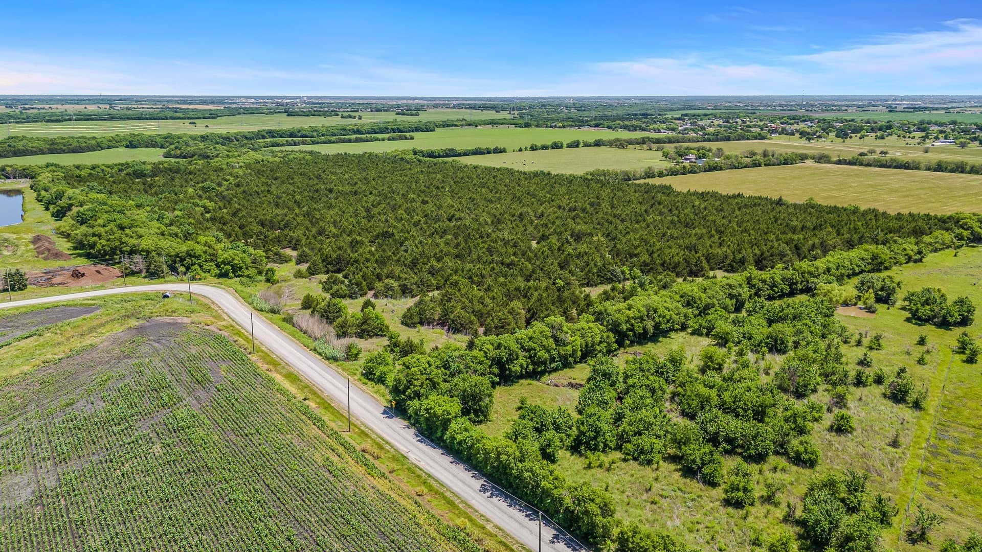39.99 acres in Collin County - photo 8