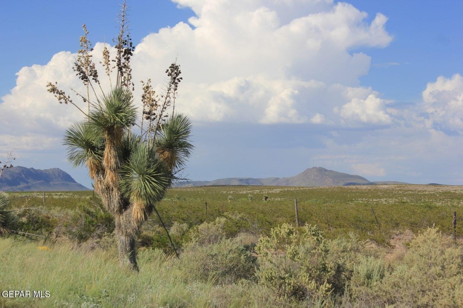 20.08 acres in Hudspeth County gallery image 3