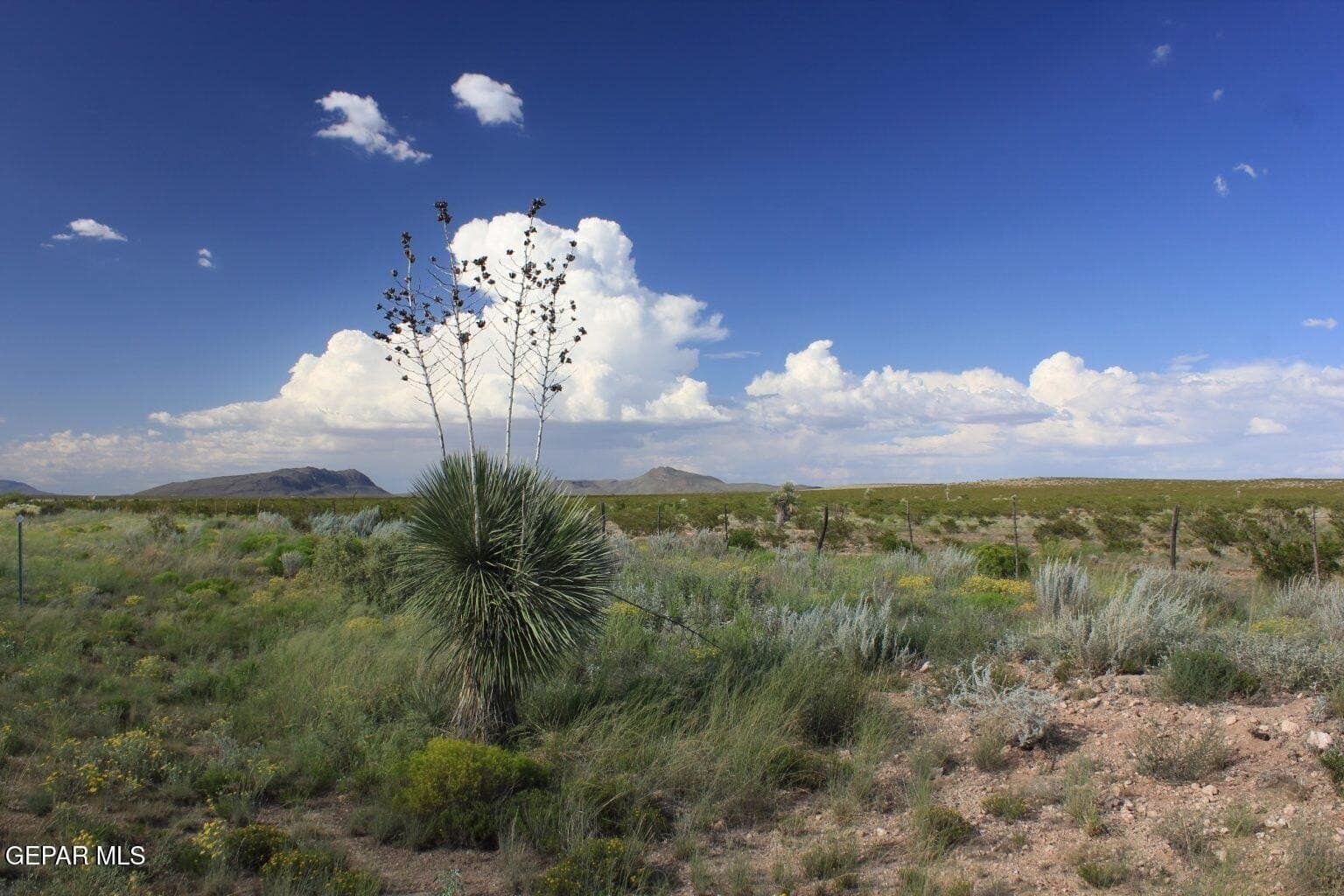 20.08 acres in Hudspeth County gallery image 4