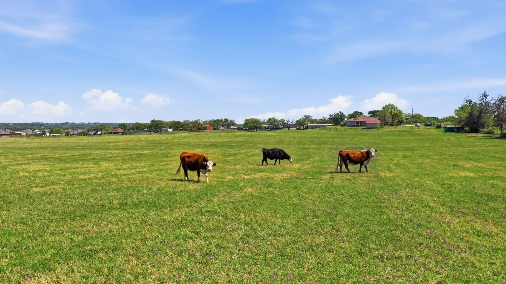 28.25 acres in Parker County - photo 38
