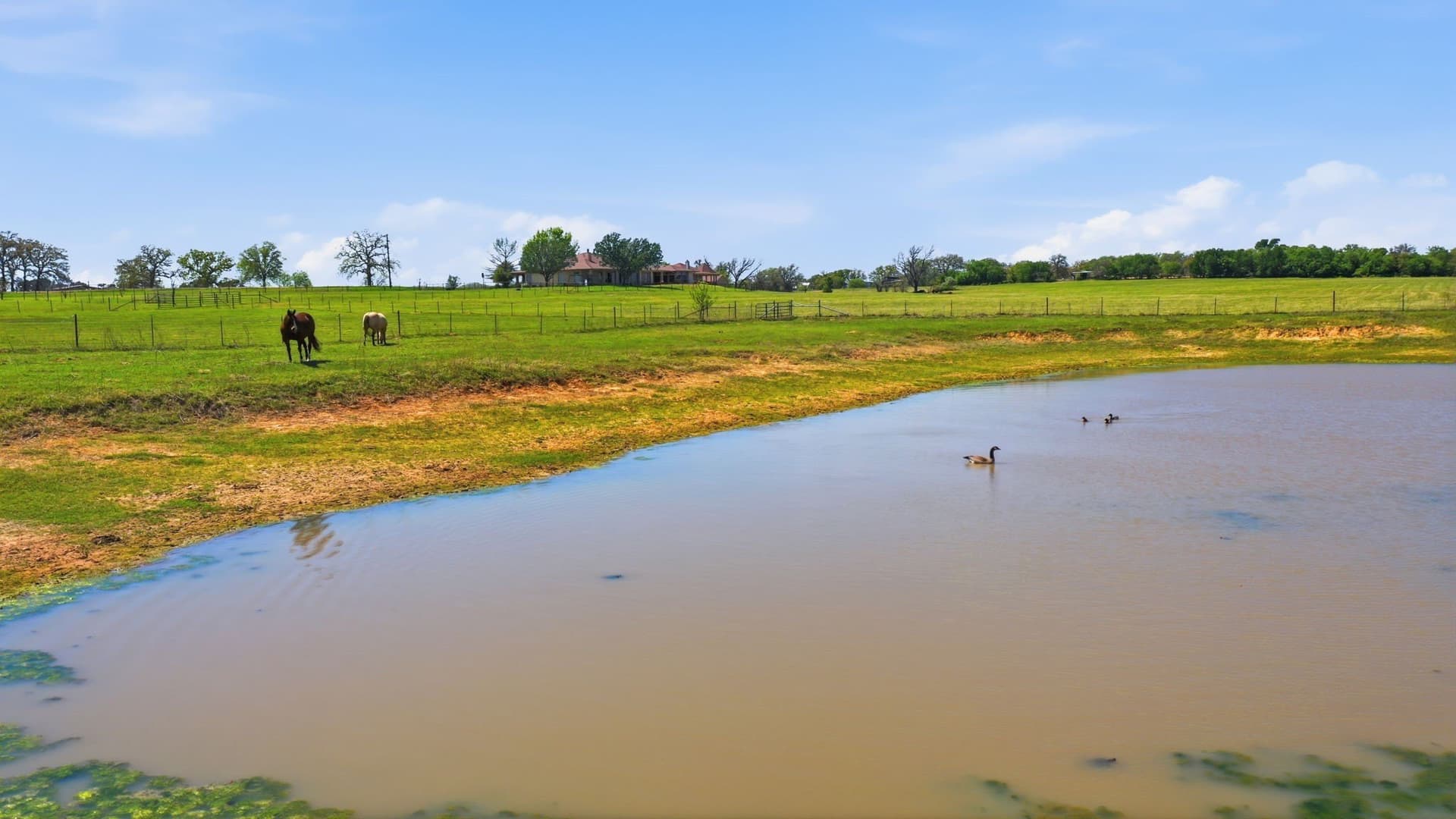 28.25 acres in Parker County featured view