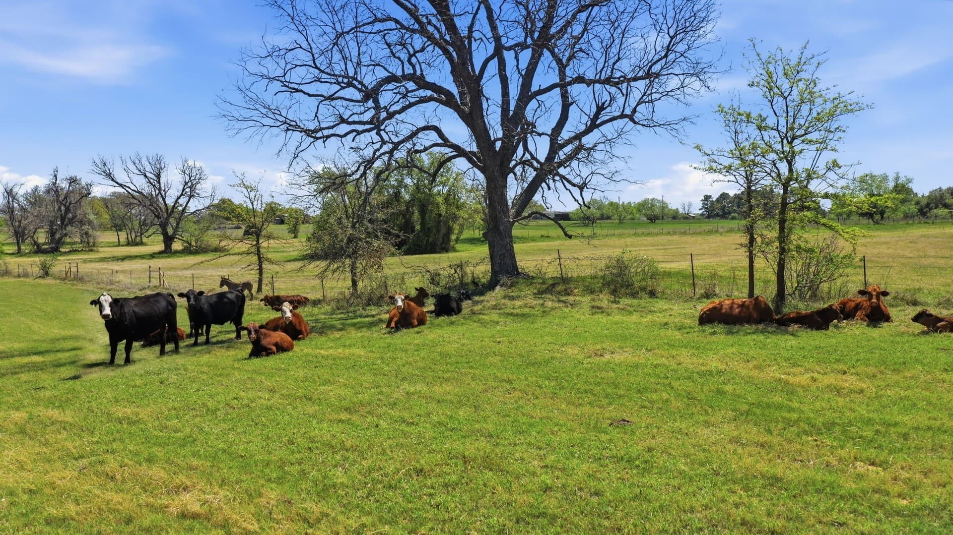 28.25 acres in Parker County - photo 37