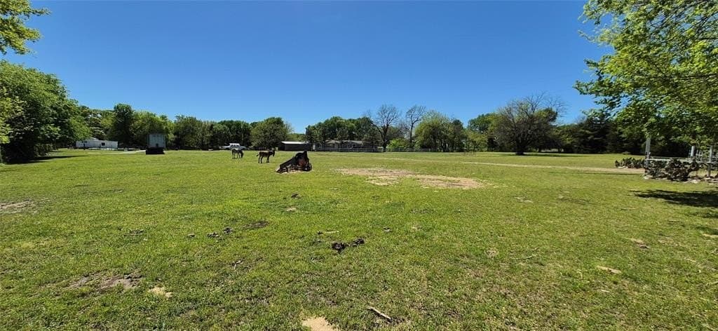 17.4 acres in Fannin County gallery image 2