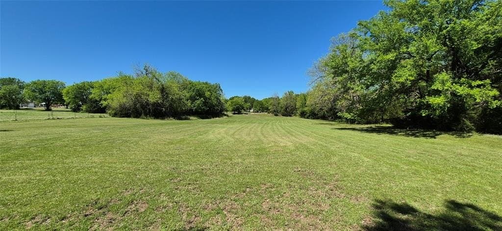 17.4 acres in Fannin County gallery image 4