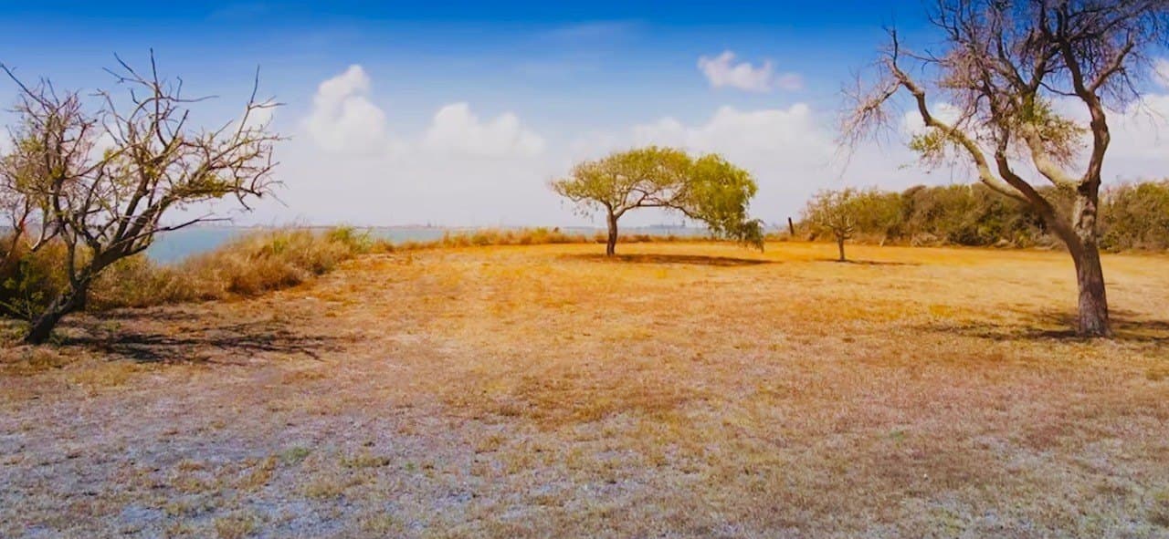 0.51 acres in San Patricio County - photo 14