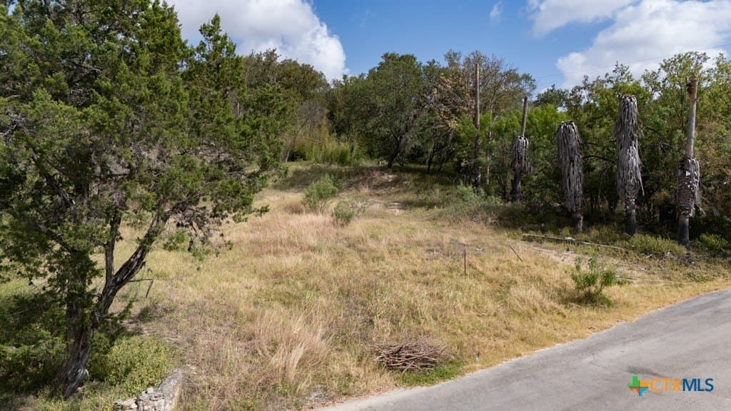 0.15 acres in Hays County - photo 15