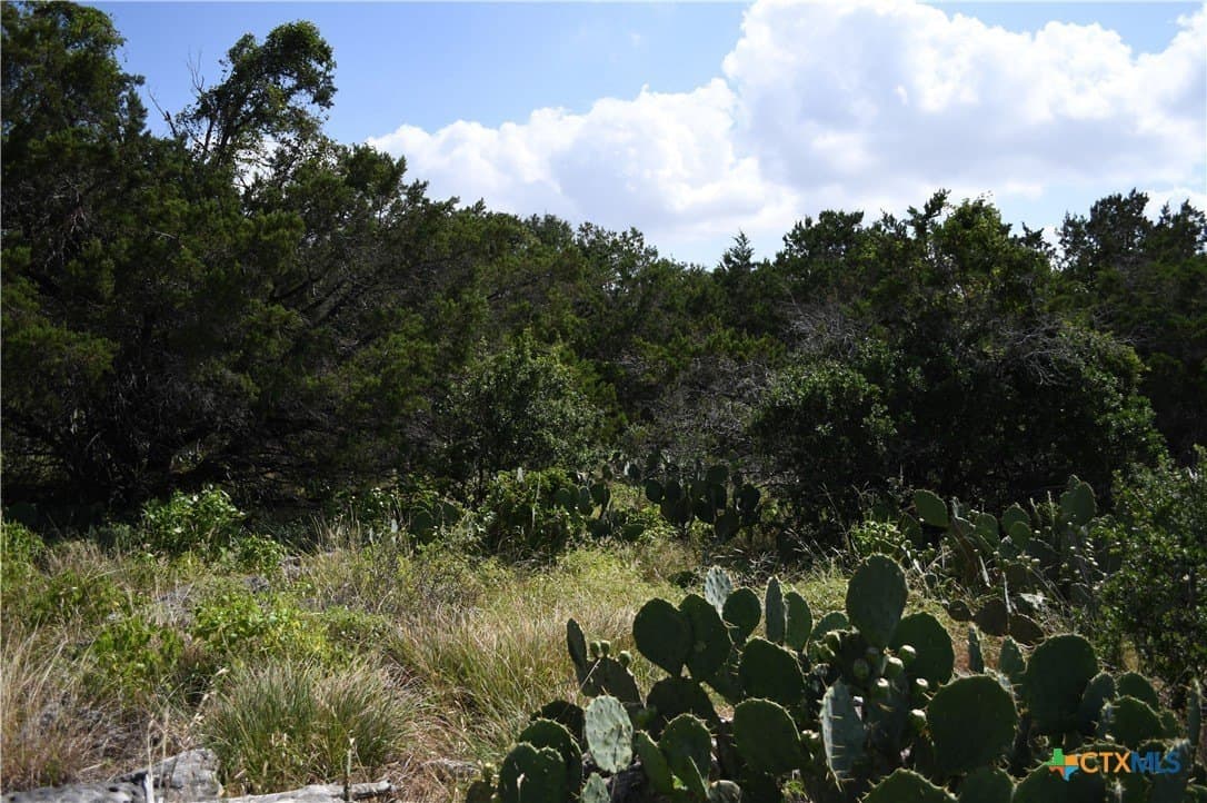 0.24 acres in Comal County gallery image 3