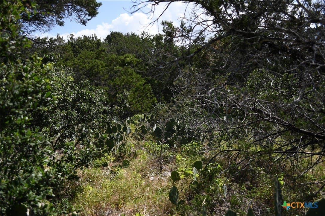 0.24 acres in Comal County gallery image 2