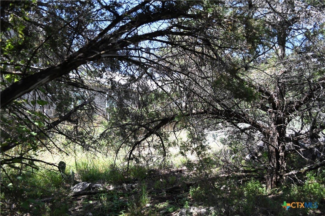 0.24 acres in Comal County featured view