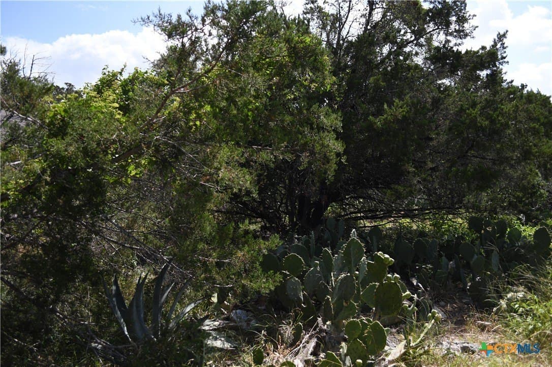 0.24 acres in Comal County gallery image 4