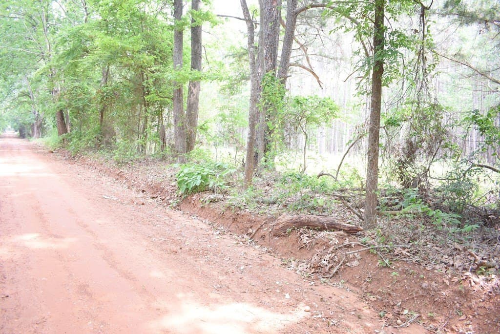 10 acres in Texas County featured view
