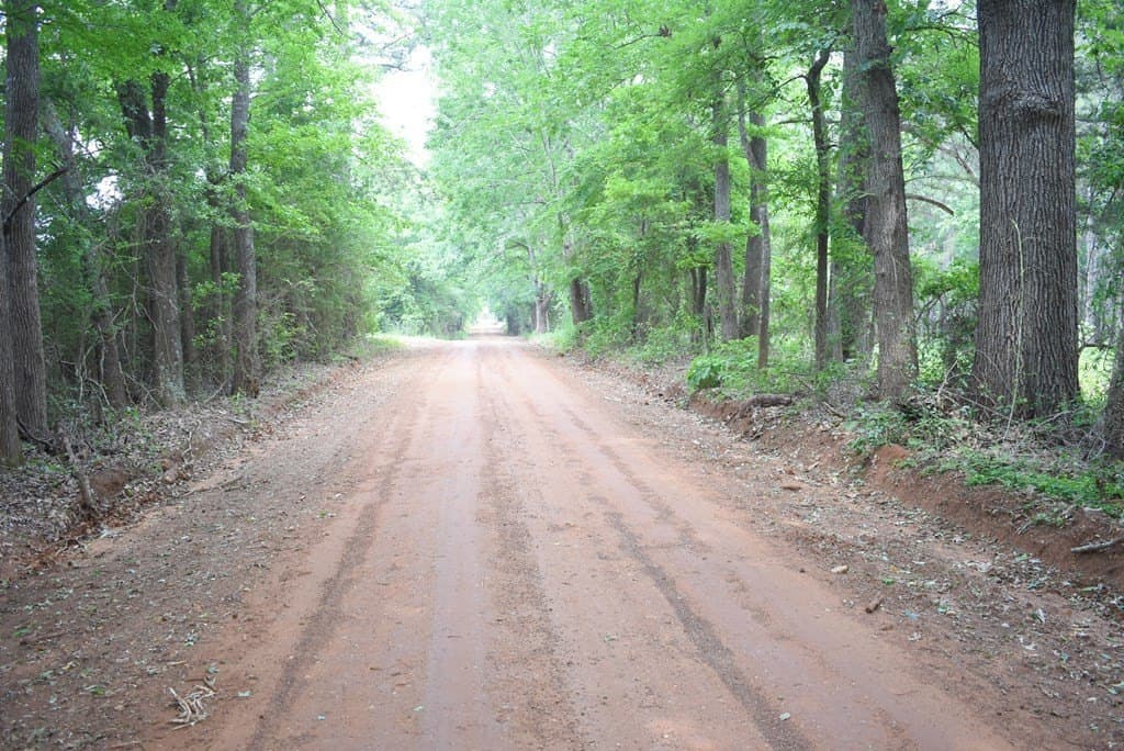 10 acres in Texas County gallery image 2