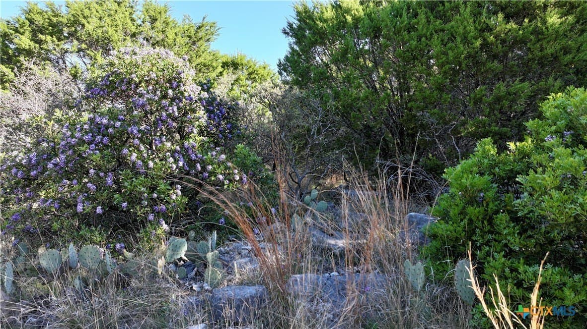40.35 acres in Lampasas County - photo 14