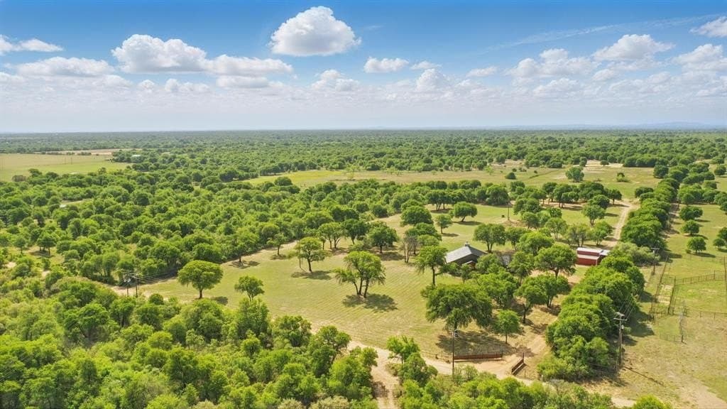 25 acres in Jones County gallery image 2
