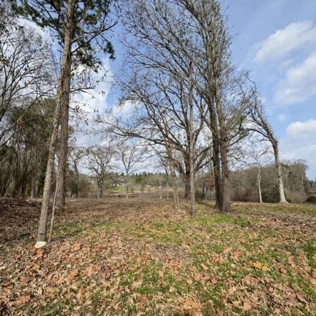 0.36 acres in Henderson County gallery image 2