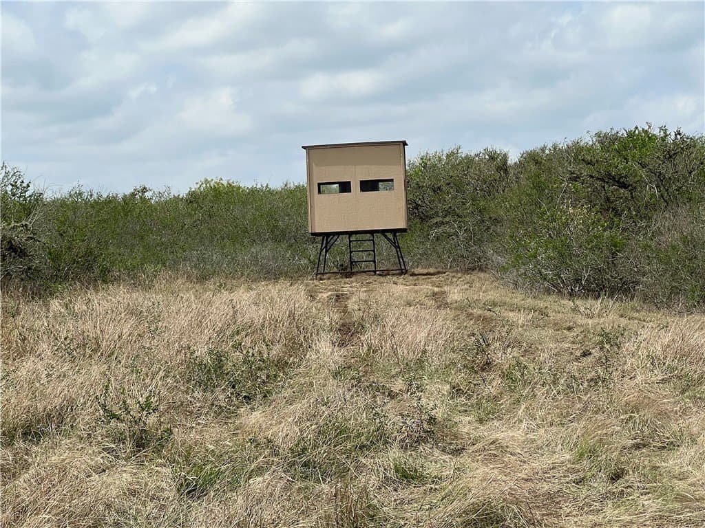 10.38 acres in Live Oak County gallery image 2