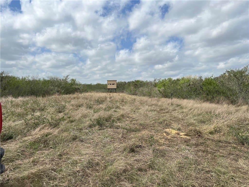 10.38 acres in Live Oak County