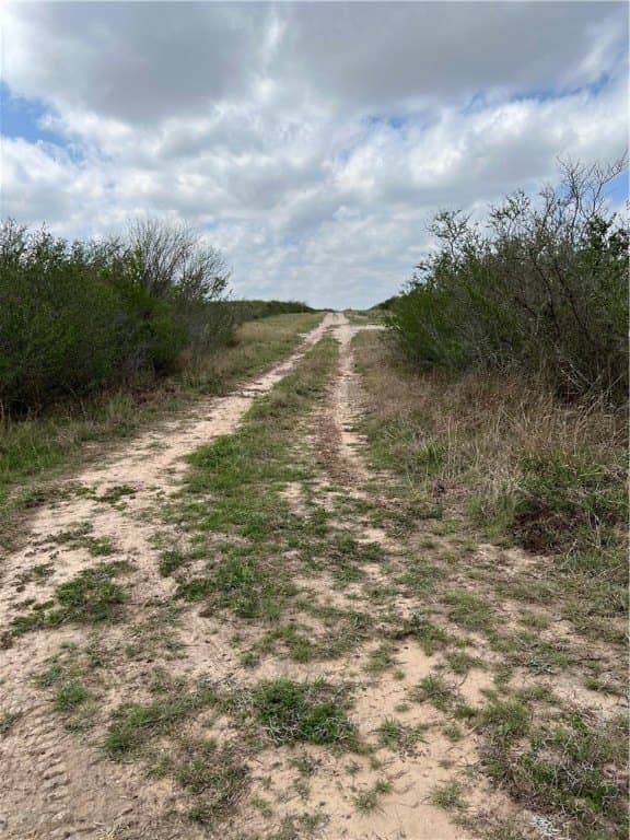 10.38 acres in Live Oak County featured view
