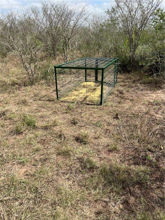 10.38 acres in Live Oak County gallery image 4