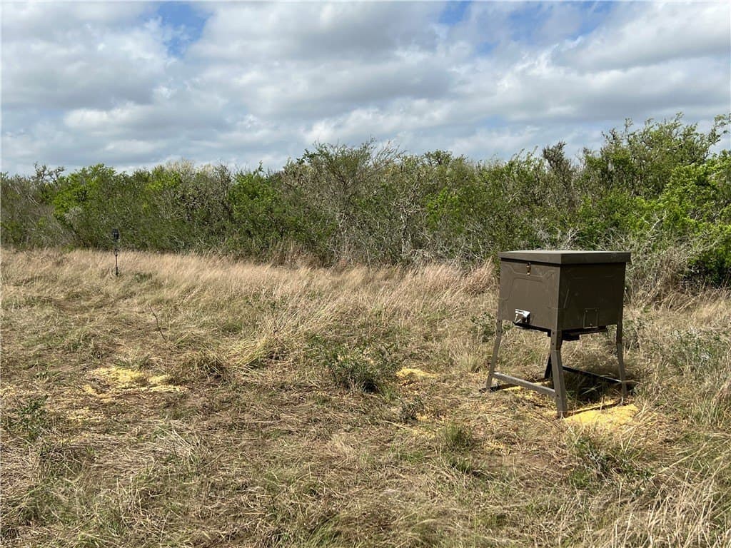 10.38 acres in Live Oak County gallery image 3