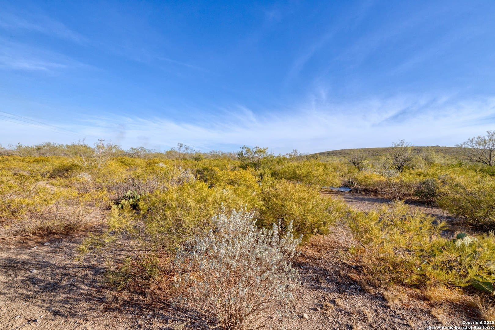 78.59 acres in Uvalde County - photo 14
