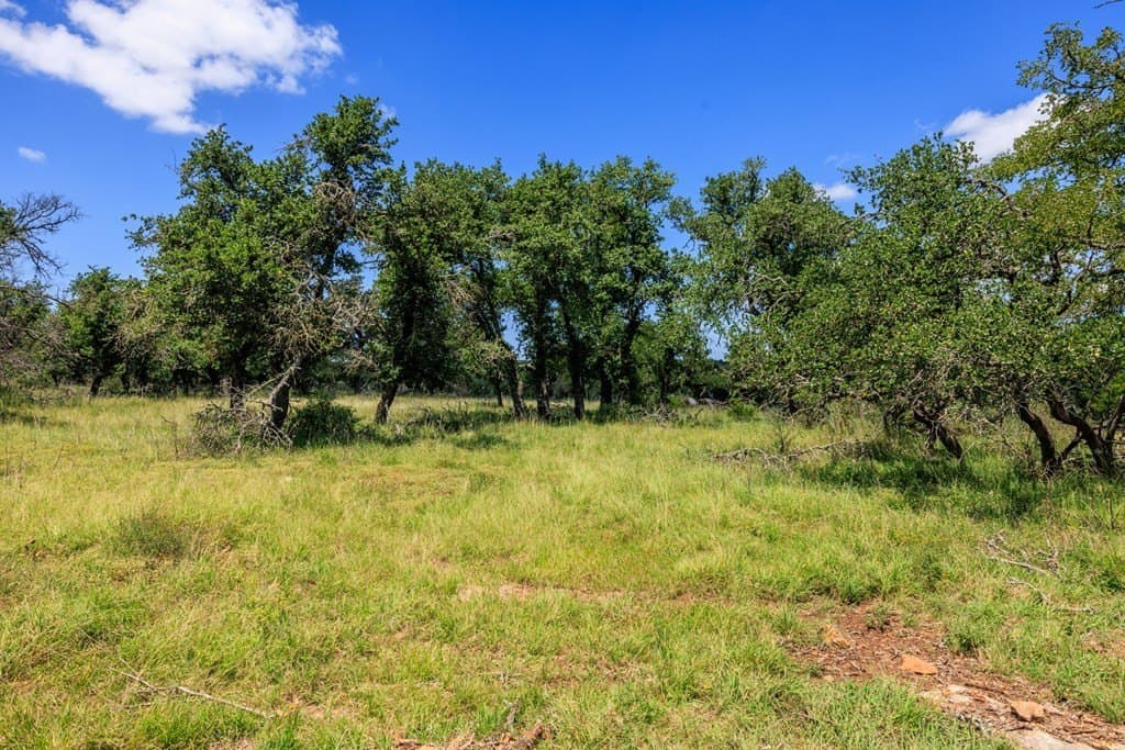 40.55 acres in Gillespie County - photo 8
