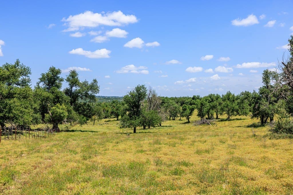 40.55 acres in Gillespie County - photo 18