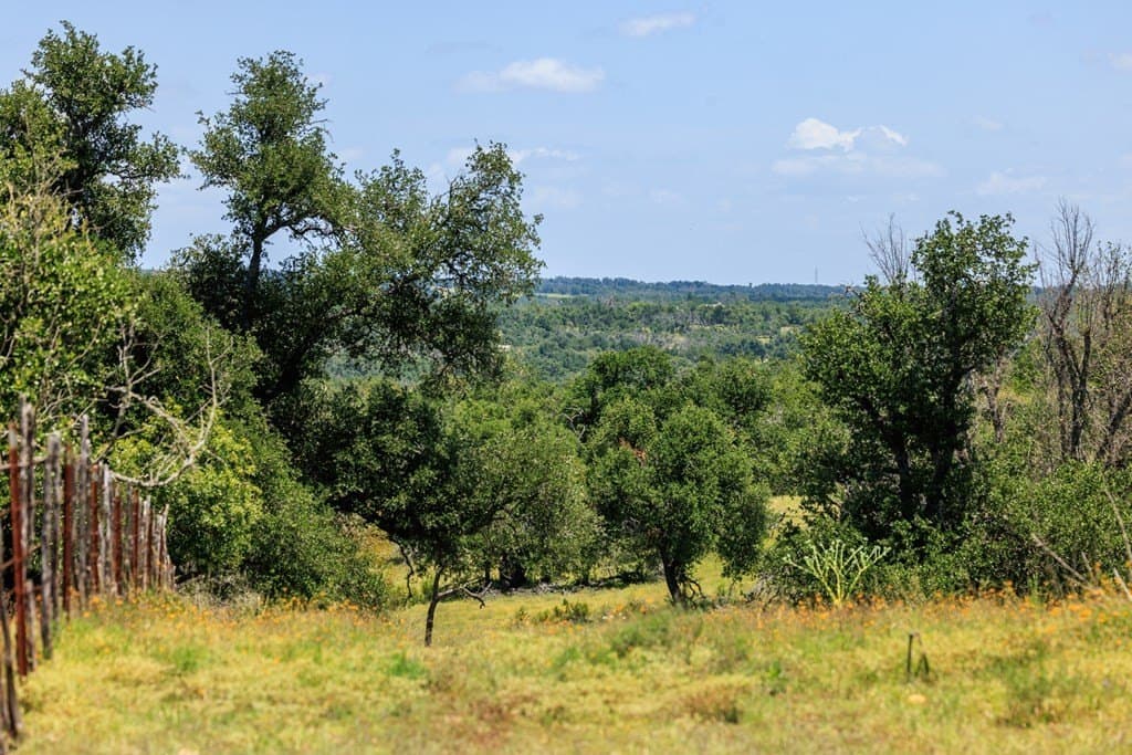 40.55 acres in Gillespie County gallery image 3