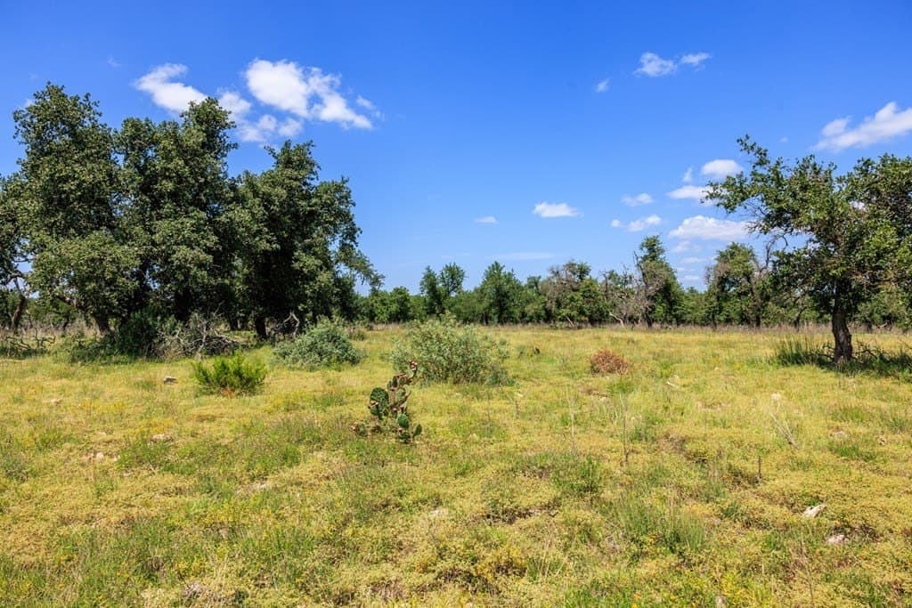 40.55 acres in Gillespie County - photo 14