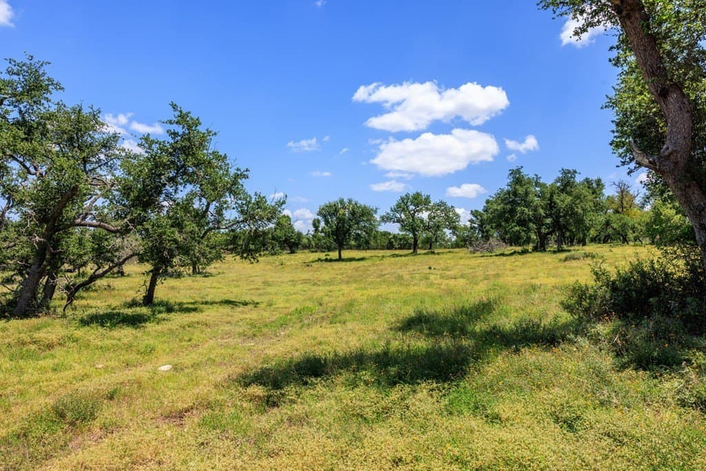 40.55 acres in Gillespie County featured view