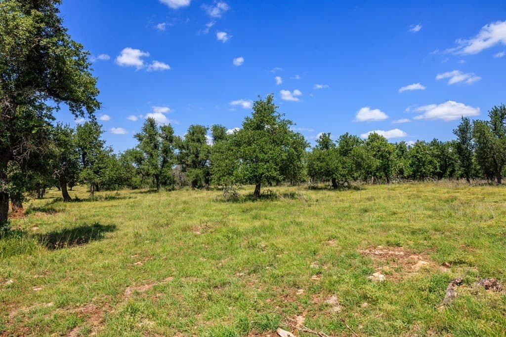 40.55 acres in Gillespie County - photo 20