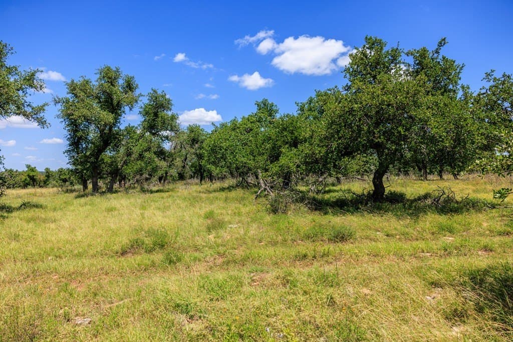 40.55 acres in Gillespie County - photo 22