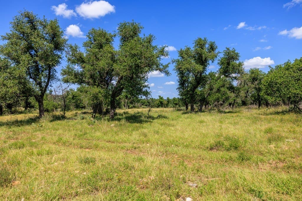 40.55 acres in Gillespie County - photo 10