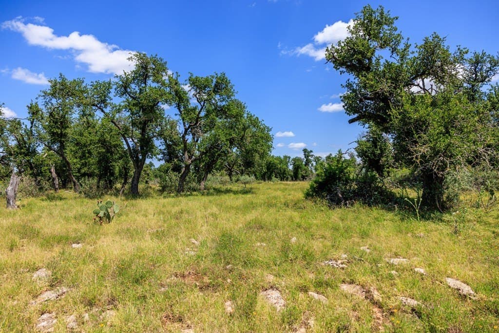40.55 acres in Gillespie County - photo 9