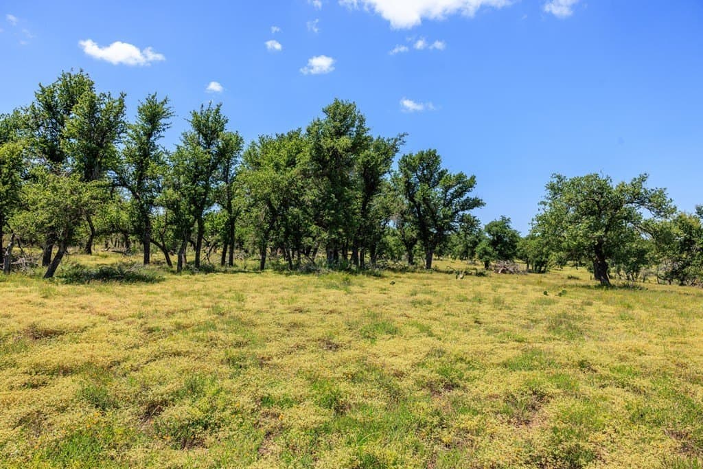 40.55 acres in Gillespie County gallery image 4