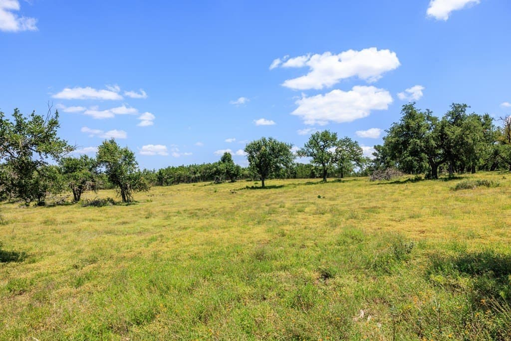 40.55 acres in Gillespie County - photo 19