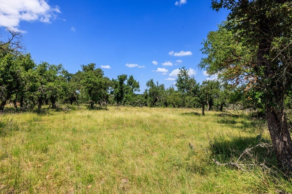 40.55 acres in Gillespie County - photo 13