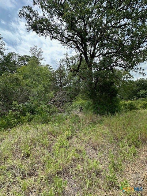 1.43 acres in Bastrop County gallery image 4