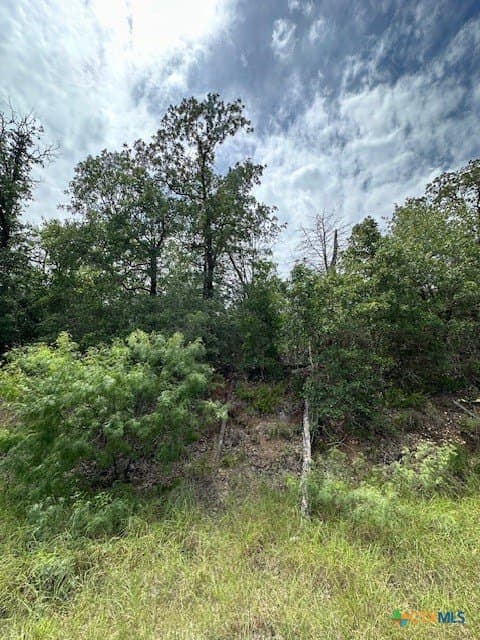 1.43 acres in Bastrop County gallery image 3