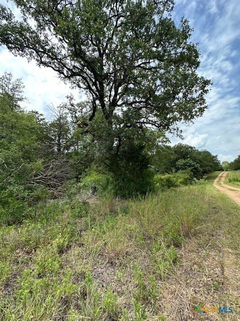 1.43 acres in Bastrop County featured view