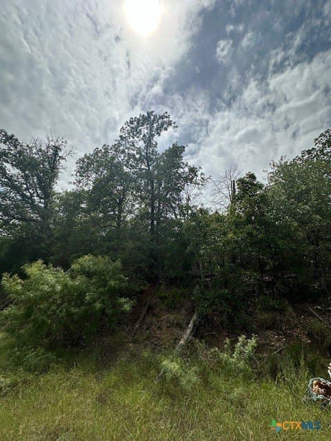 1.43 acres in Bastrop County gallery image 2