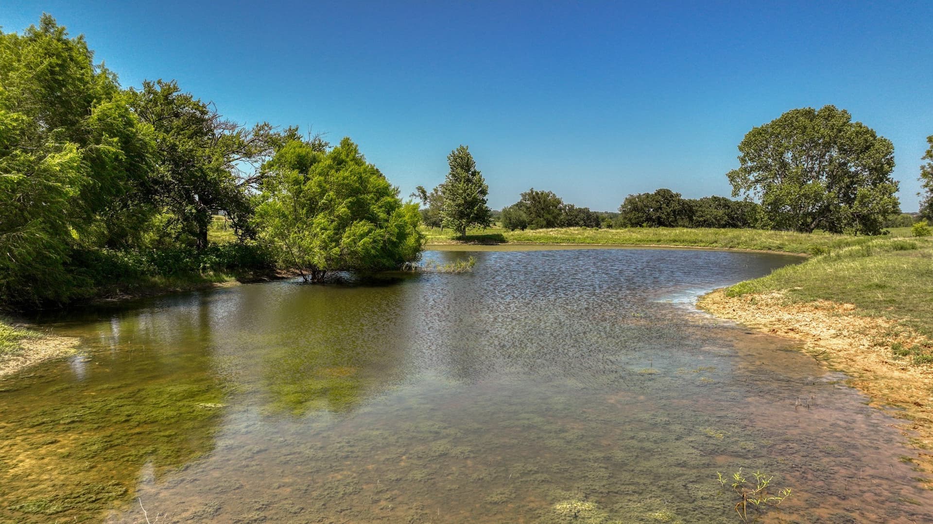 12.3 acres in Hood County - photo 6