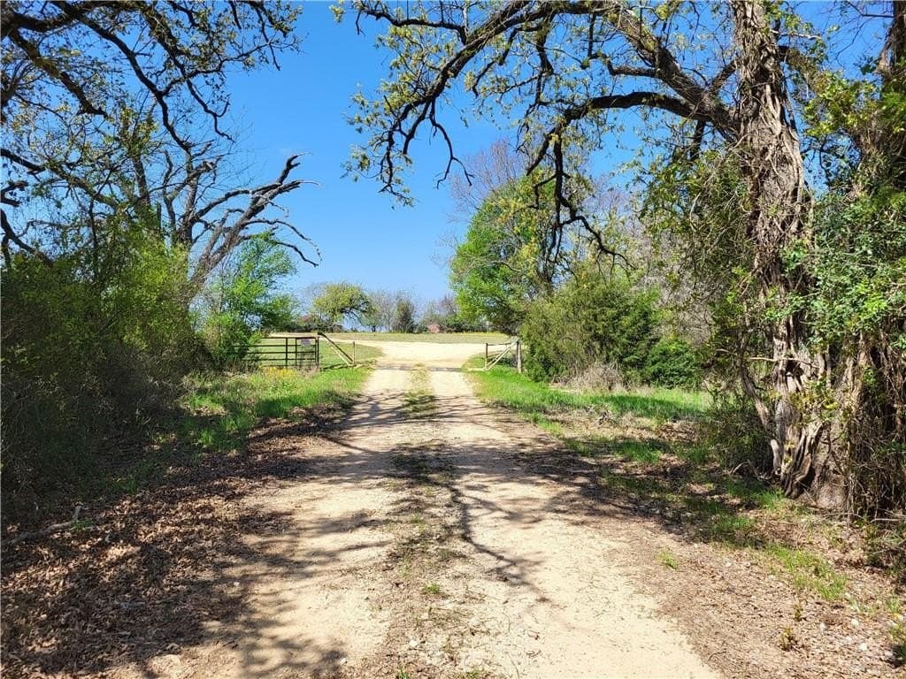 185.8 acres in Limestone County featured view
