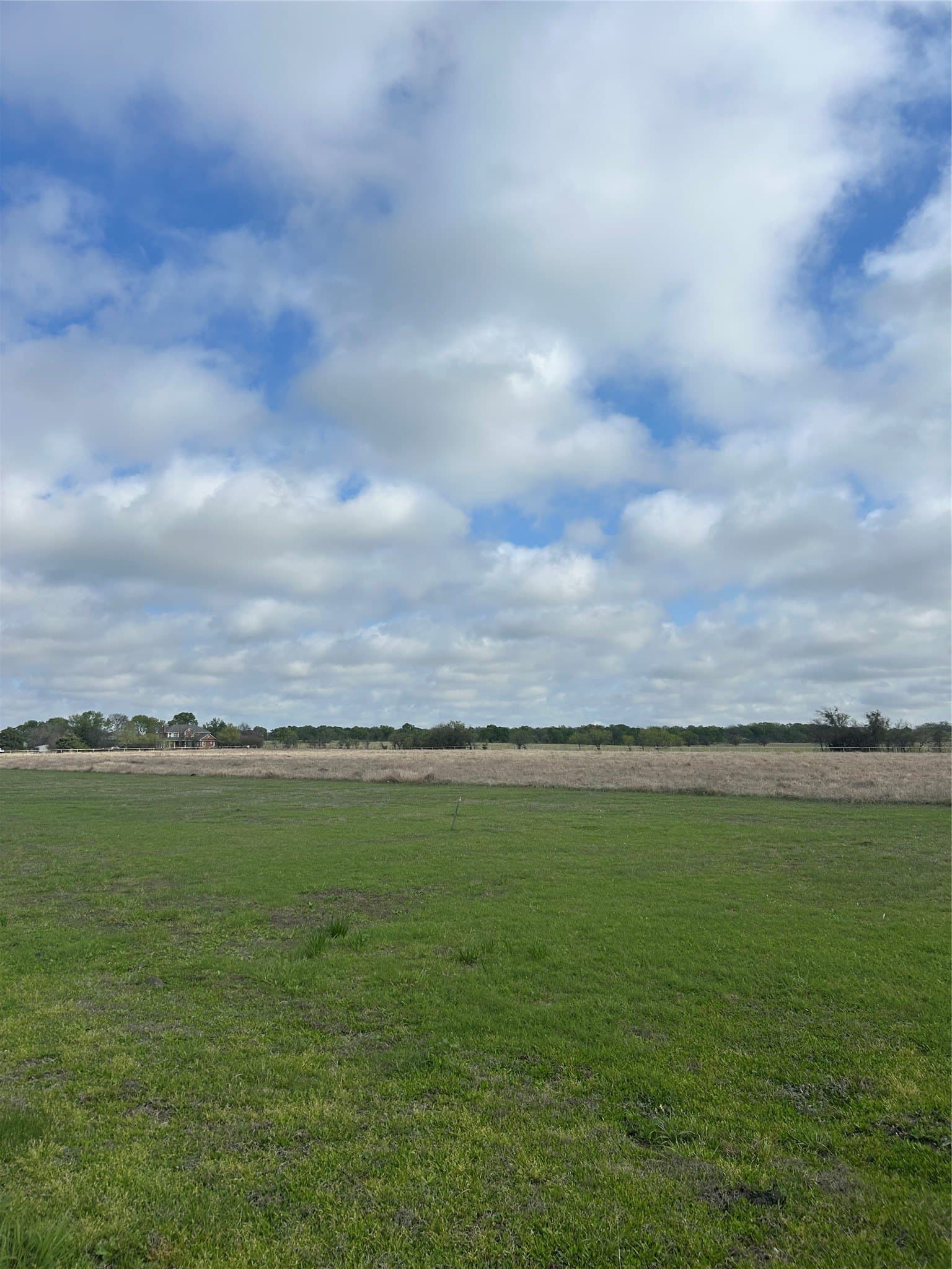 10 acres in McLennan County gallery image 3