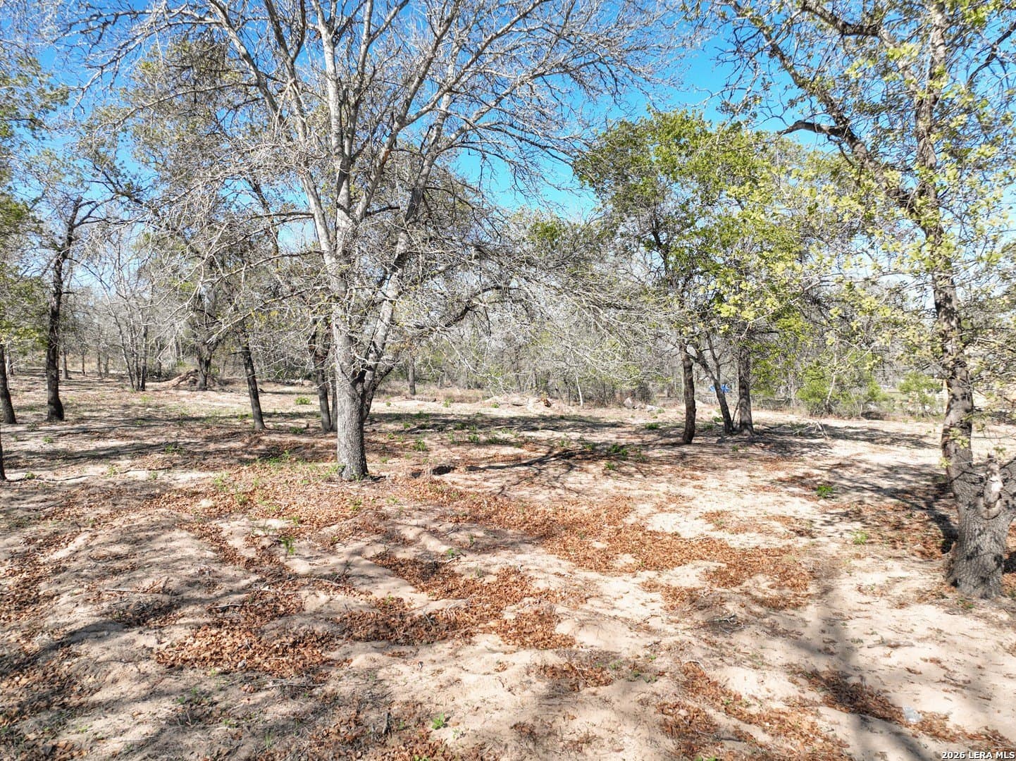 2.02 acres in Medina County gallery image 3