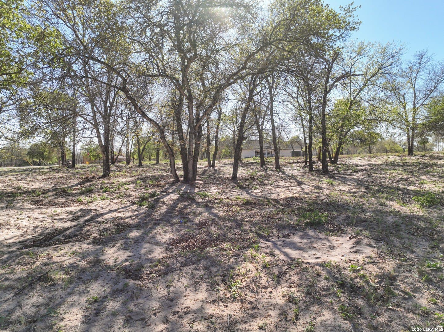 2.02 acres in Medina County gallery image 4