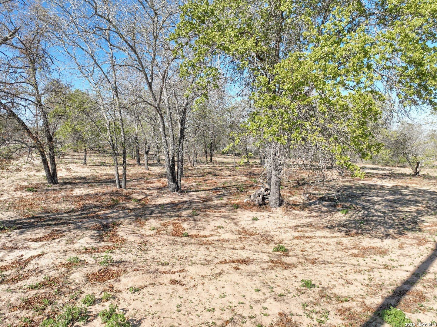 2.02 acres in Medina County - photo 6