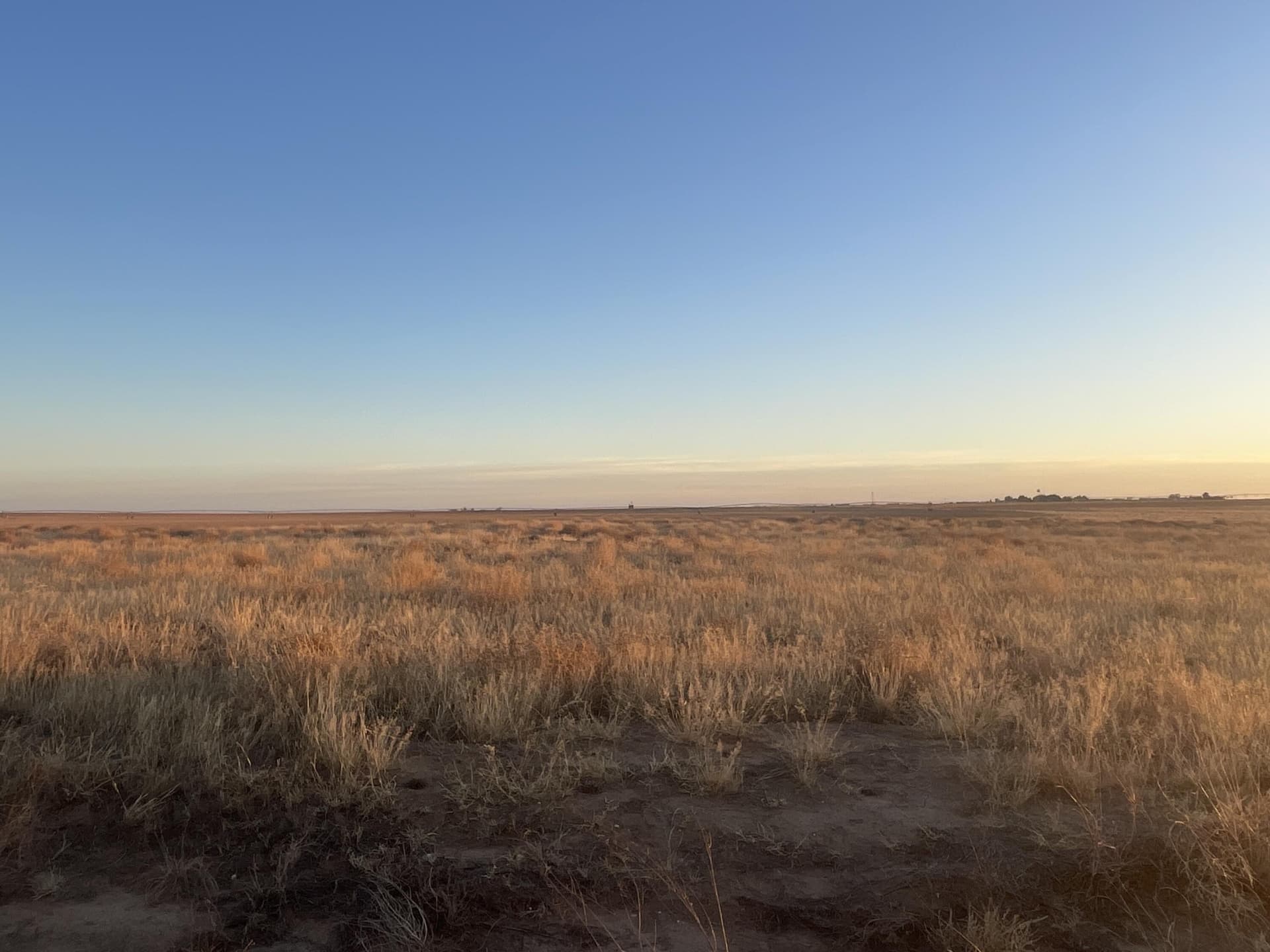 160 acres in Gaines County gallery image 2