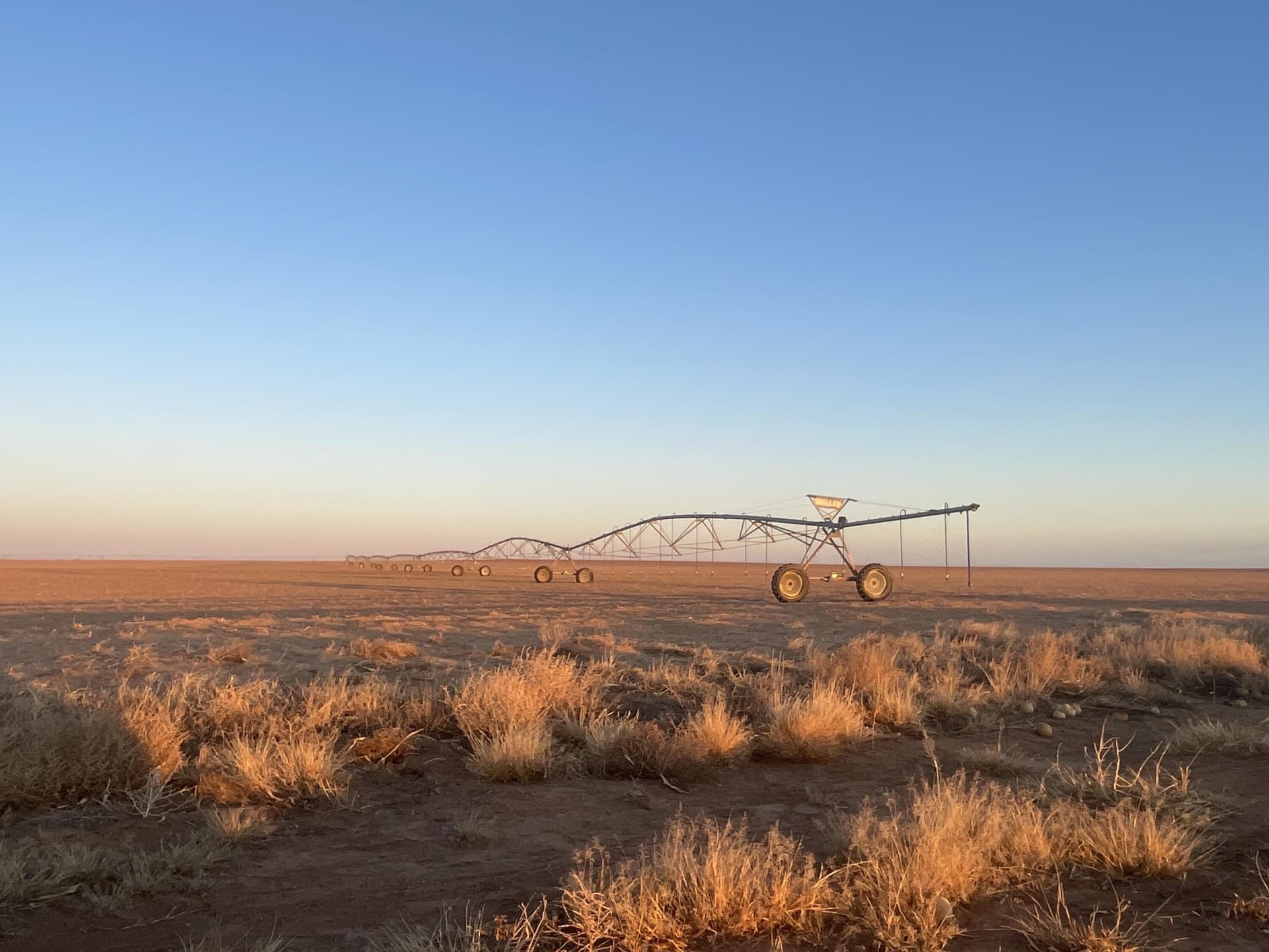 160 acres in Gaines County